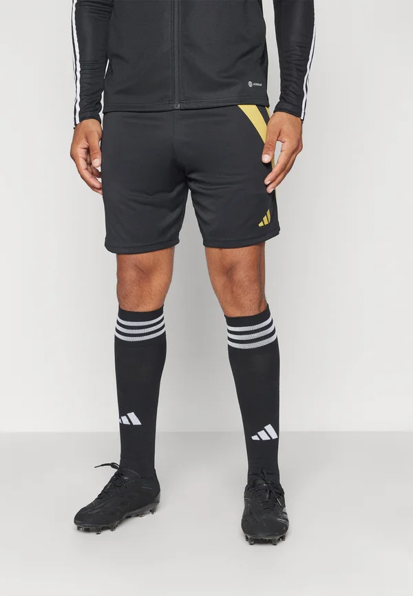 FORTORE 23 - Kurze Sporthose - black/pyrite