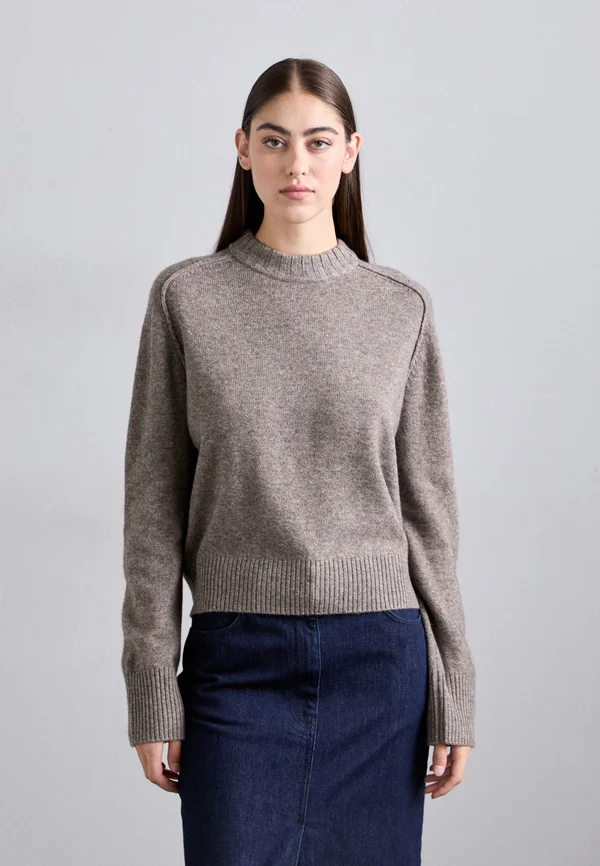 FRESIA - Strickpullover - taupe