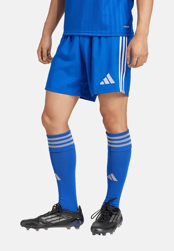 FUSSBALL - TEAM - TASTIGO - Kurze Sporthose - blau