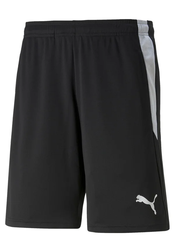 FUSSBALL - TEAMSPORT - SCHIEDSRICHTER TEAMLIGA S - Kurze Sporthose - schwarz/weiss