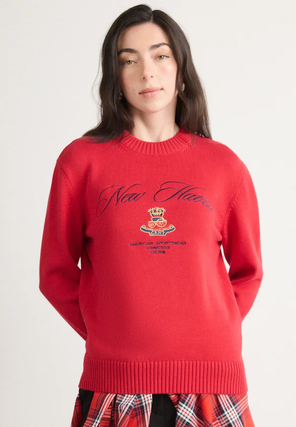 GRAPHIC C NECK - Strickpullover - ruby red