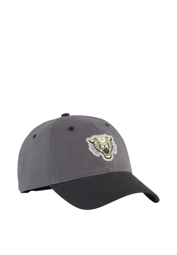 GRAPHIC DAD - Cap - black
