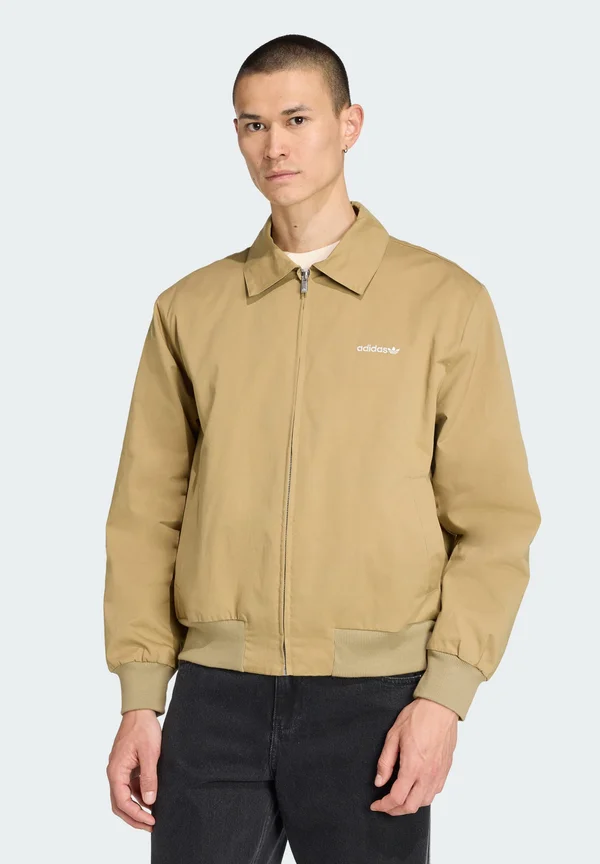 GRAPHIC REG - Trainingsjacke - orbit green