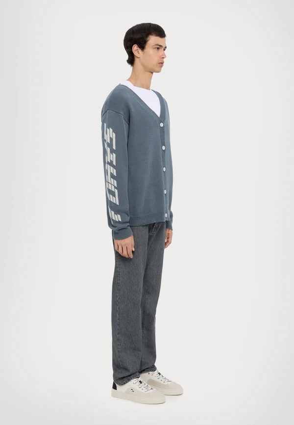 GRAPHIC UNISEX - Strickjacke - stormy weather