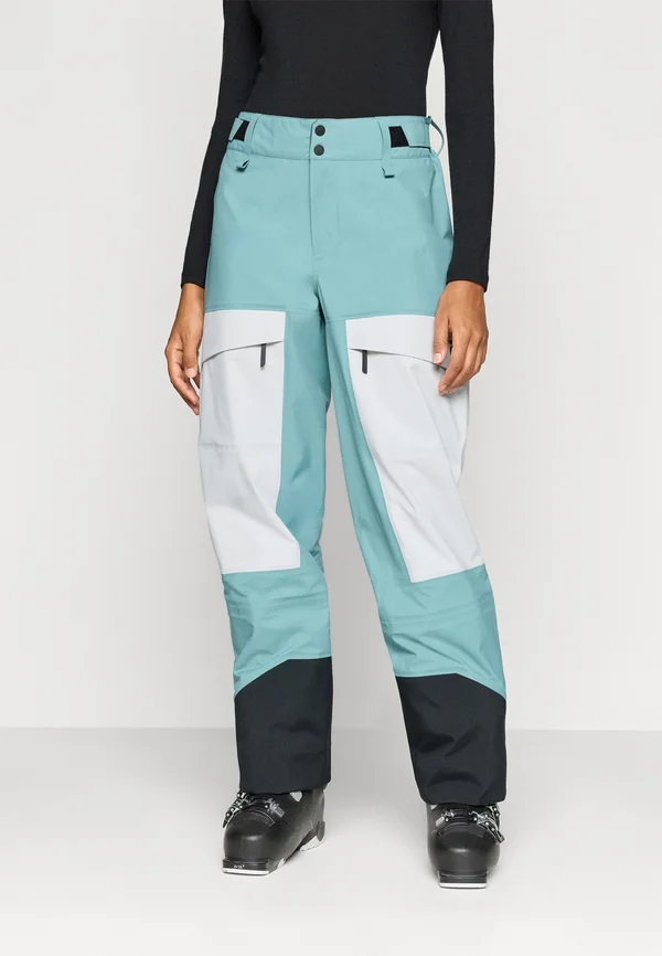 GRAVITY GORE-TEX PANTS - Skihose - deluded vision/antarctica