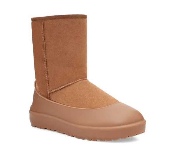 GUARD 2.0 UNISEX - Zubehör für die Schuhpflege - chestnut
