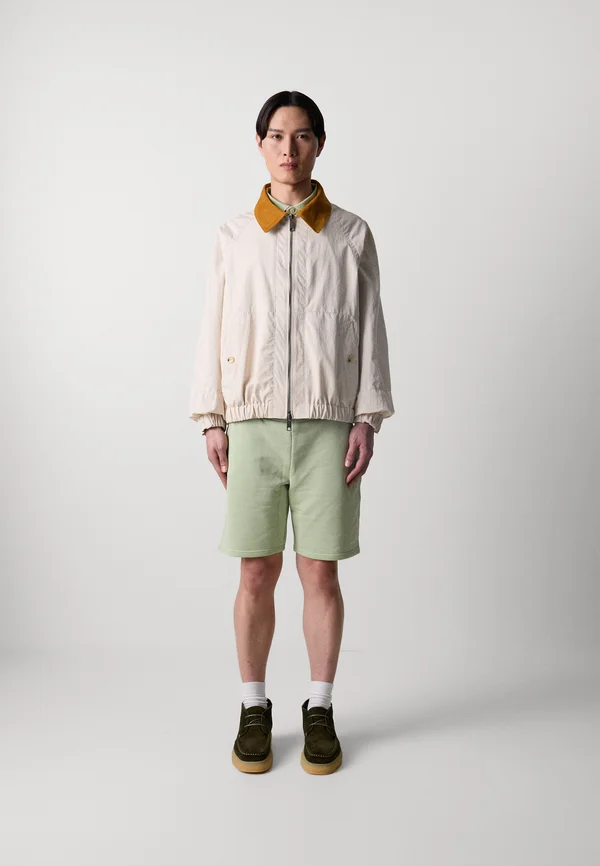 HARRINGTON JACKET - Leichte Jacke - putty