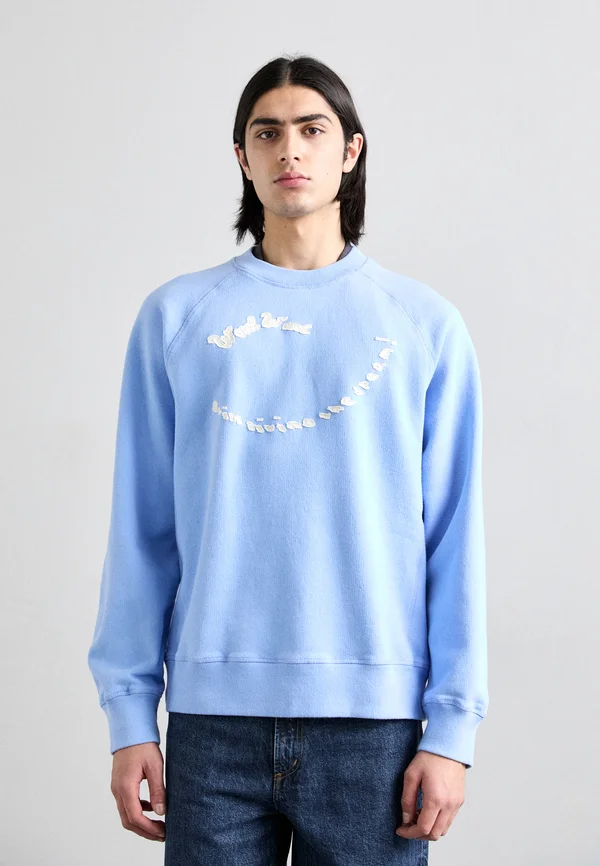 HESTER DREAM CREW - Sweatshirt - cloudy