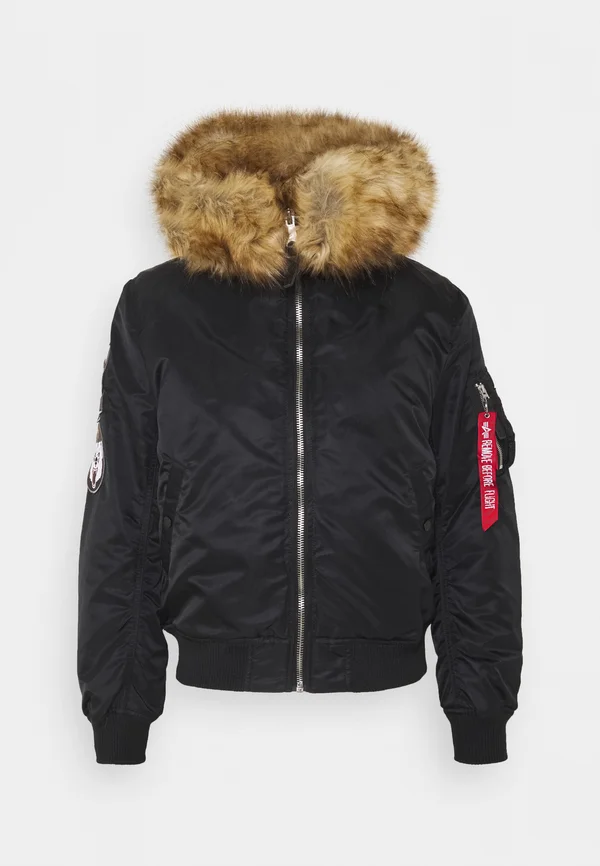 HOODED ARCTIC - Winterjacke - black