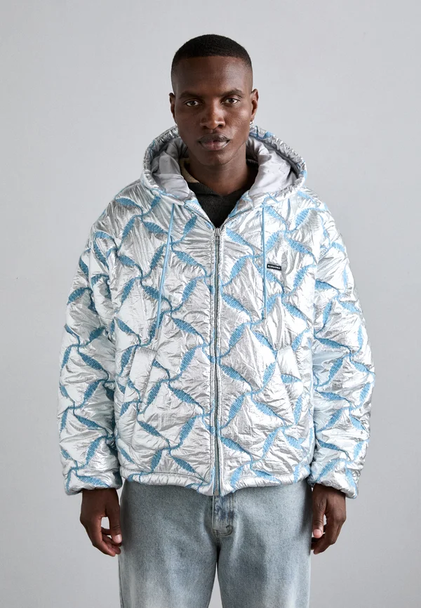 HOODED EMBROIDERED - Winterjacke - reflective silver