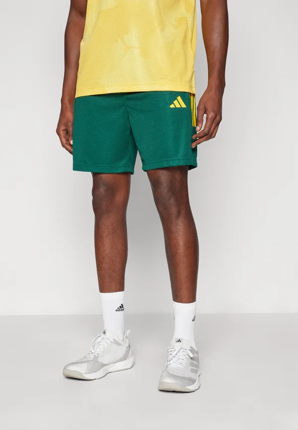HOUSE OF TIRO NATIONS PACK SHORT - Kurze Sporthose - collegiate green/bold gold/blanch green
