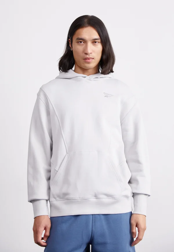 ICON HOODIE - Sweatshirt - mist grey