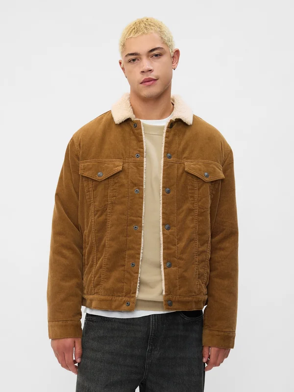 ICON JACKET - Winterjacke - brown