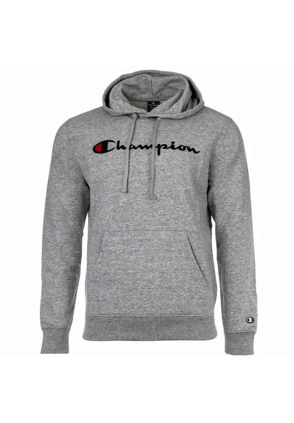 ICONS CONTRAST LOGO LARGE - Kapuzenpullover - grau