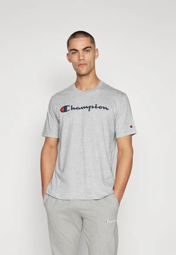 ICONS CREWNECK WITH LARGE LOGO - T-Shirt print - grey