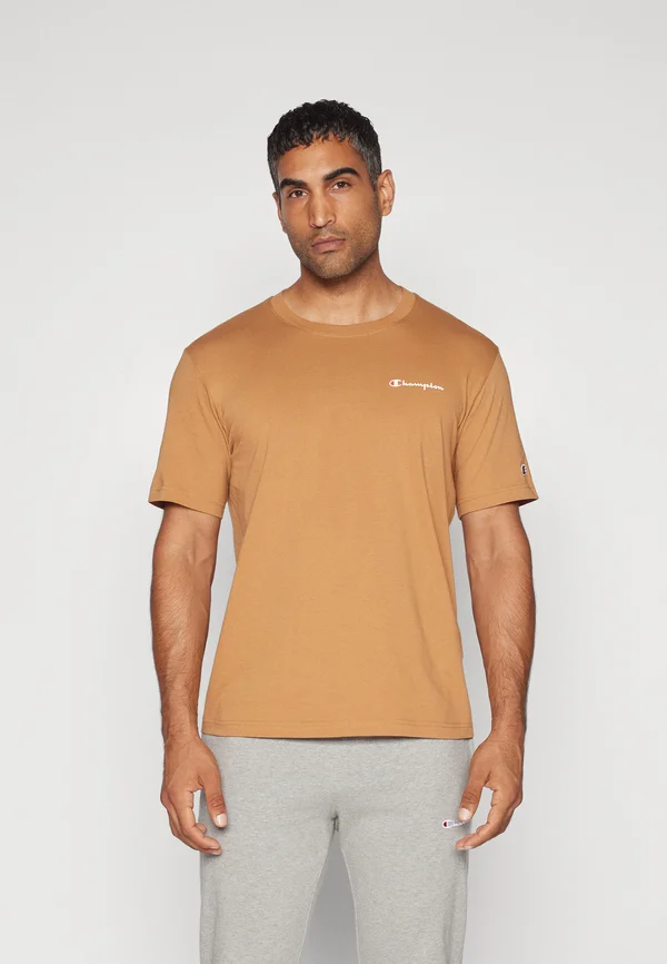 ICONS CREWNECK WITH SMALL LOGO - T-Shirt basic - brown