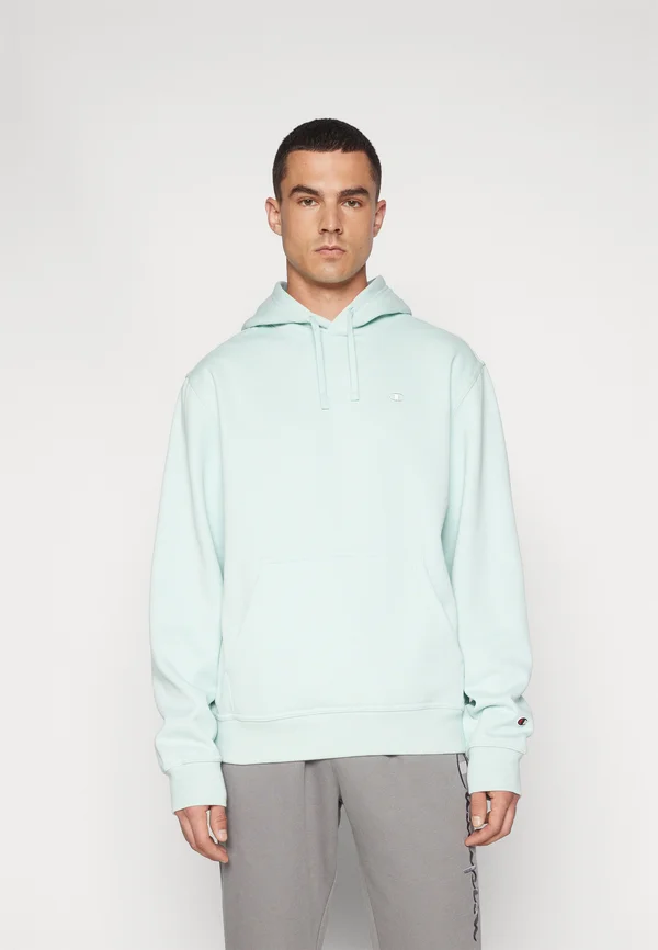 ICONS TONAL SMALL - Kapuzenpullover - surf