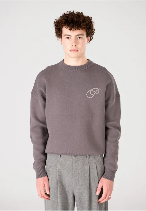 INITIAL - Strickpullover - grey