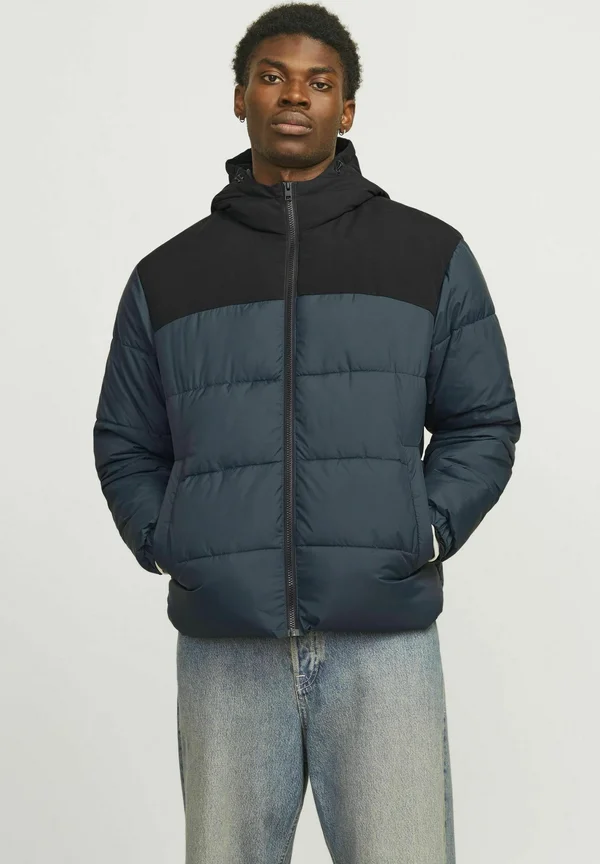 JJMOON HOOD PUFFER - Winterjacke - magical forest