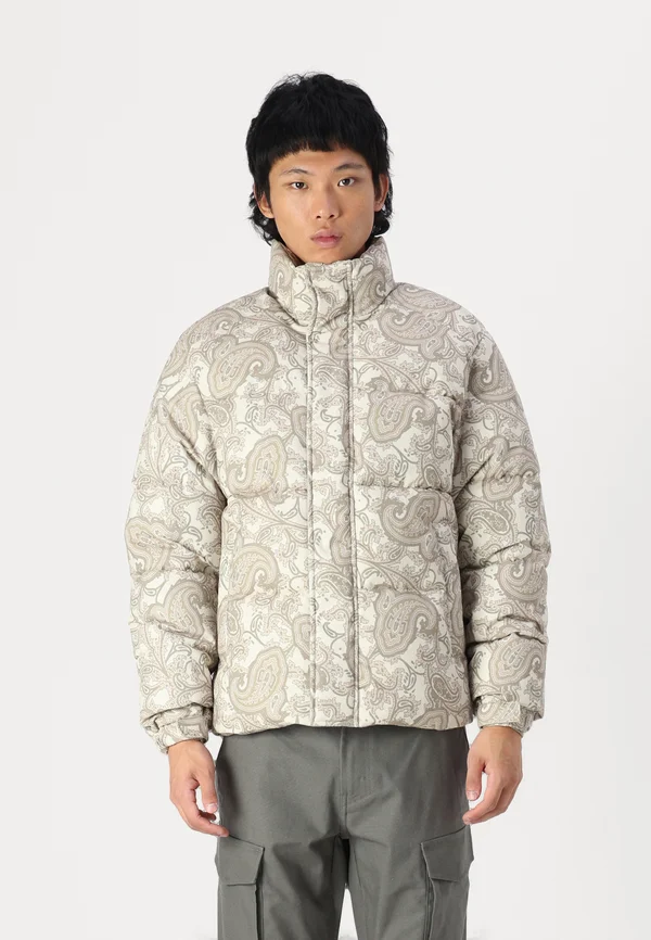 JORAVONDALE PUFFER JACKET - Winterjacke - silver birch