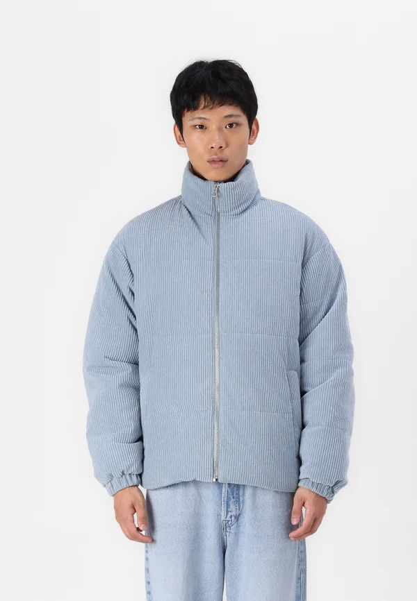 JORBRONX PUFFER JACKET - Winterjacke - mountain spring