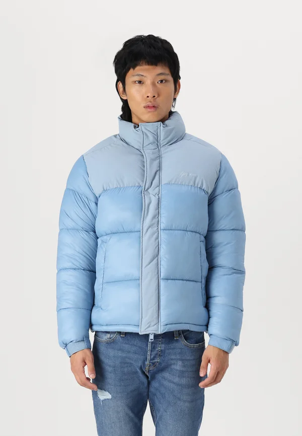 JORSILAS PUFFER JACKET - Winterjacke - mountain spring