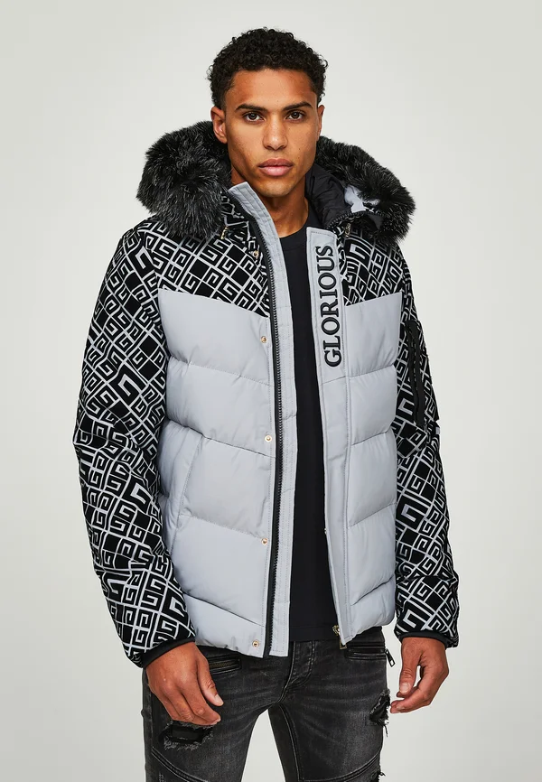 LAVIN - Winterjacke - artic grey