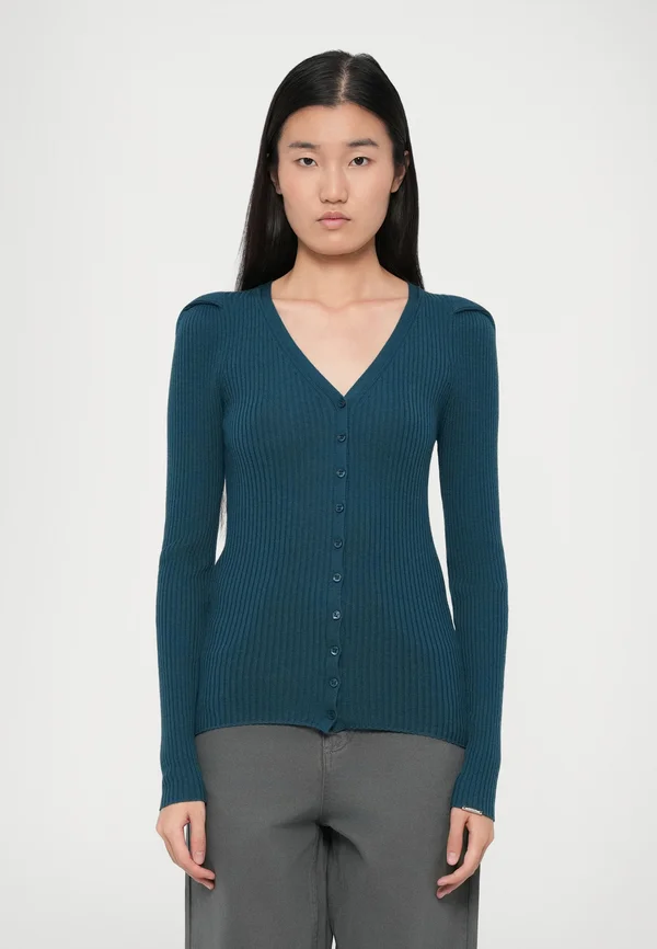 LEANDRA LONG SLEEVED - Strickjacke - azure