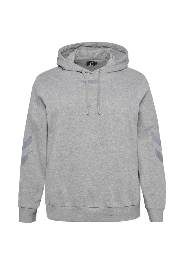 LEGACY PLUS - Kapuzenpullover - grey melange