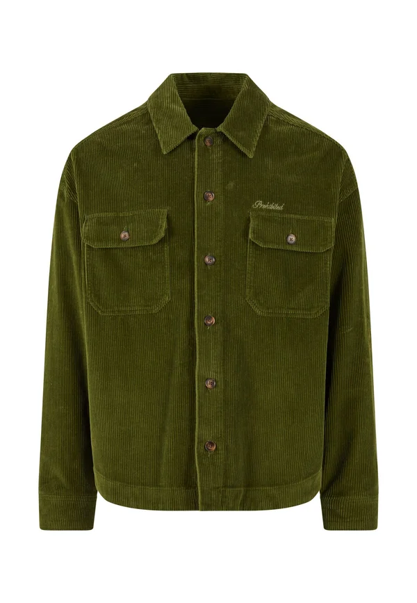 Leichte Jacke - green