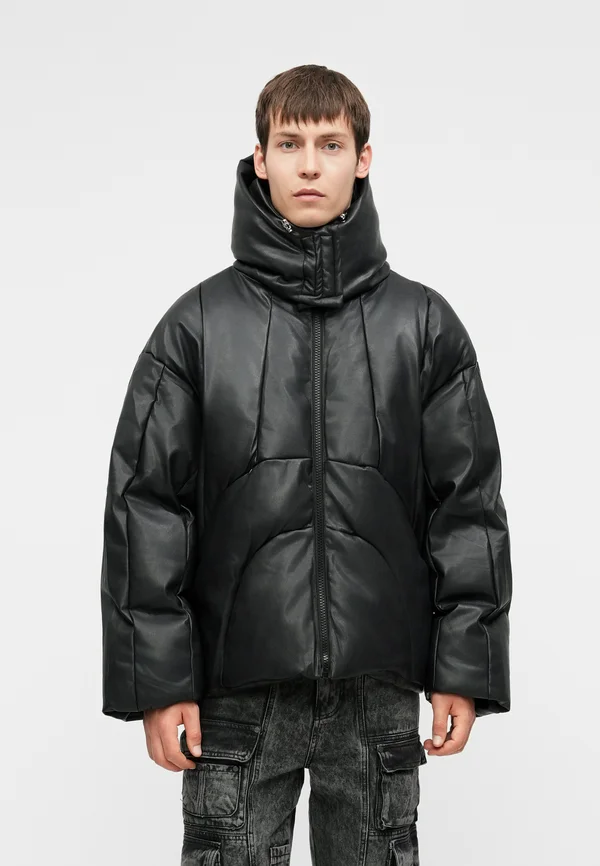 LINE PUFFER - Winterjacke - black