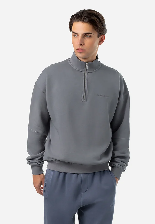 LOGO OVERSIZED HALFZIP - Sweatshirt - vintage grey/grey
