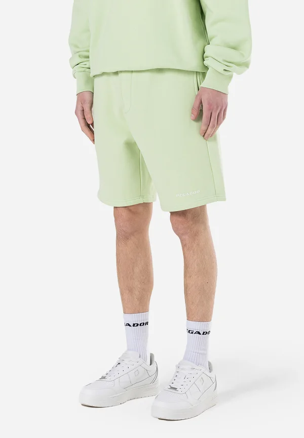 LOGO - Shorts - washed matcha green gum