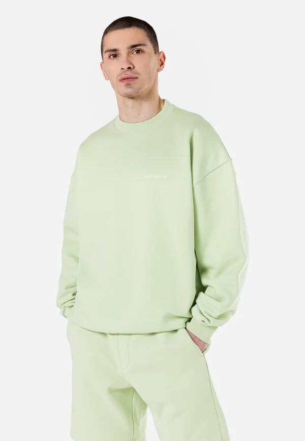 LOGO - Sweatshirt - washed matcha green gum
