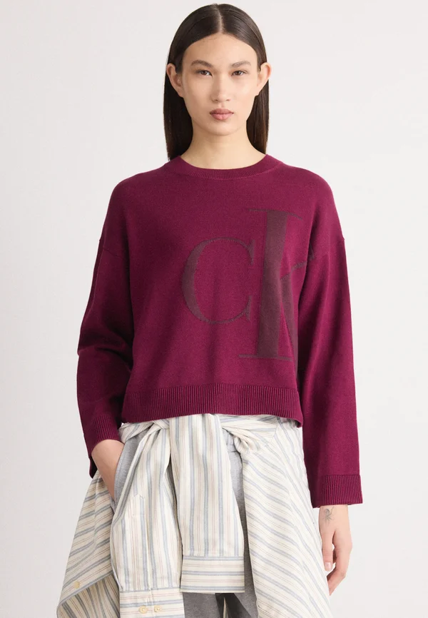 LONG SLEEVE   - Strickpullover - berry glaze