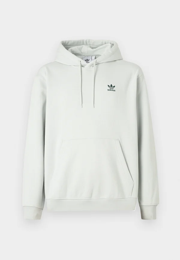 LOOSE UNISEX - Kapuzenpullover - light green