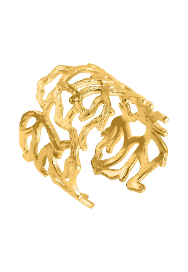 MAECI - Ring - goldfarbend