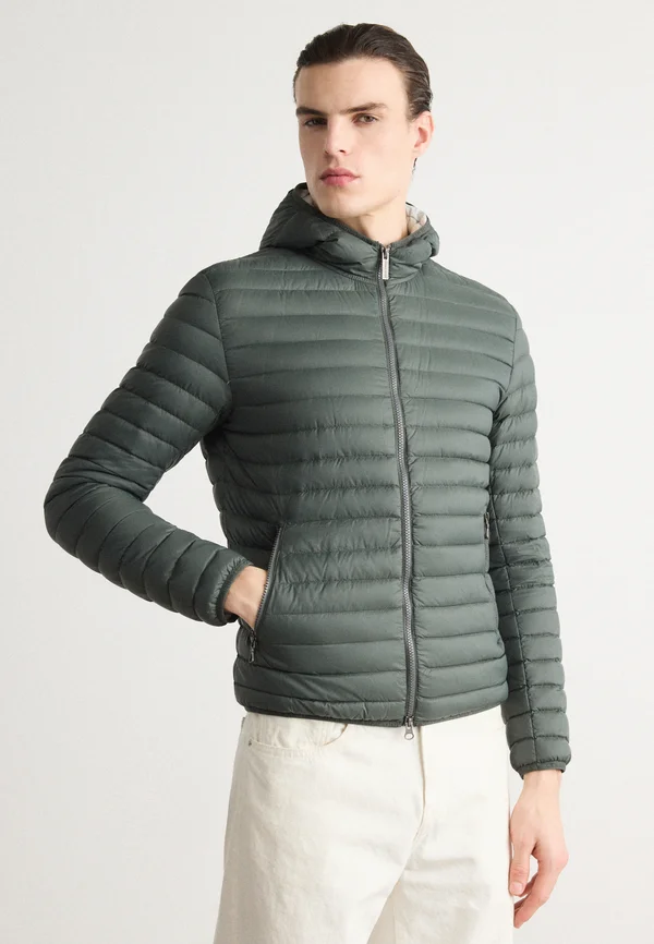 MENS JACKET - Daunenjacke - botanical/ice
