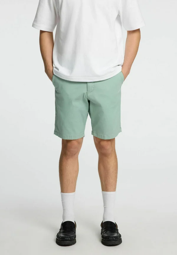 MILES FLEX - Shorts - iceberg green