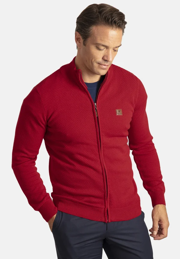 MODERN FIT HONEYCOMB   - Strickjacke - bordeaux
