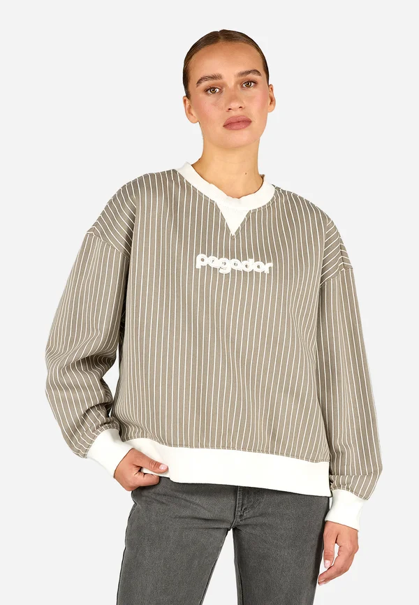 MONZA OVERSIZED - Sweatshirt - washed flint grey