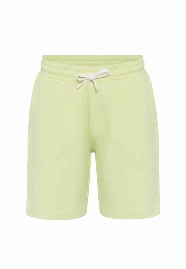 MORENO - Shorts - light mint