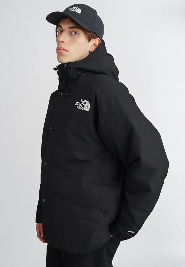 MOUNTAIN JACKET - Daunenjacke - black