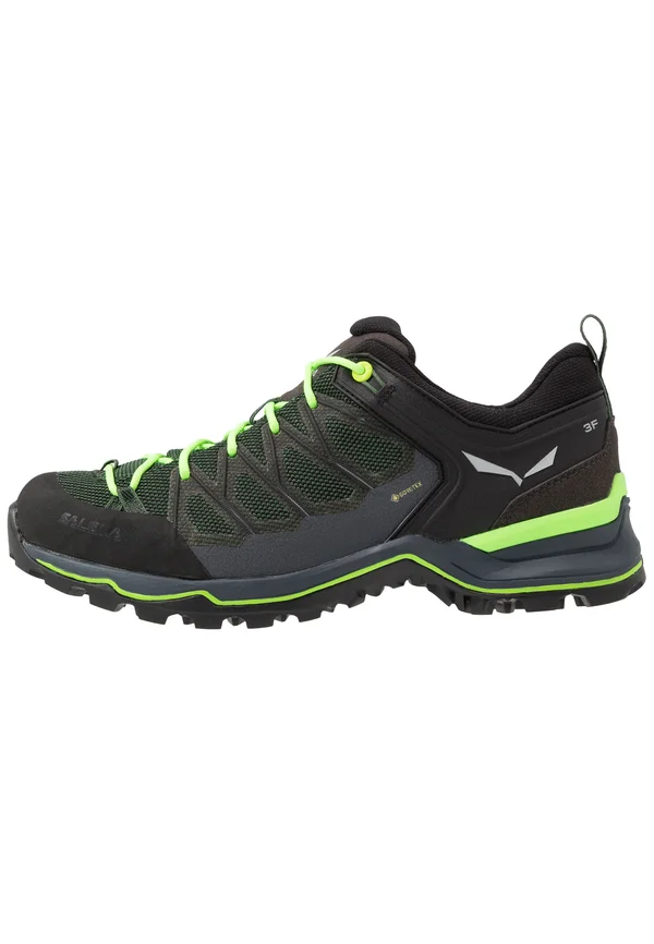 MOUNTAIN TRAINER LITE GORE TEX - Hikingschuh - myrtle/ombre blue
