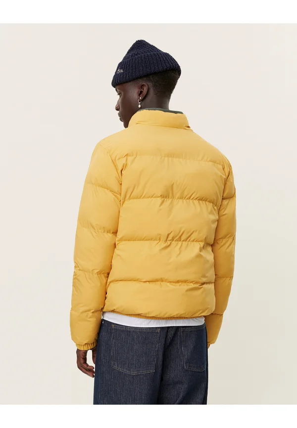 NEWPORT JACKET - Winterjacke - mustard yellow
