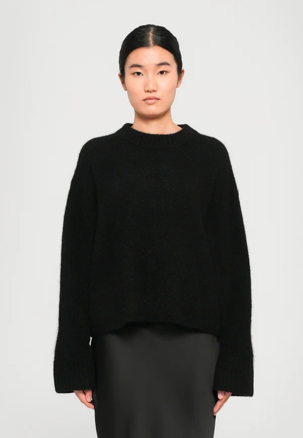 NICLAS - Strickpullover - black