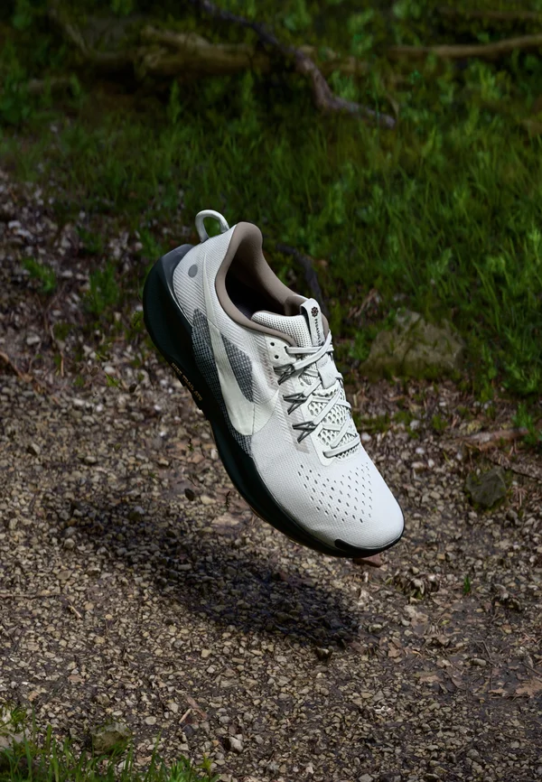 NIKE REACTX PEGASUS TRAIL - Laufschuh Trail - vast grey/summit white/black/iron grey/mink/brown/silver