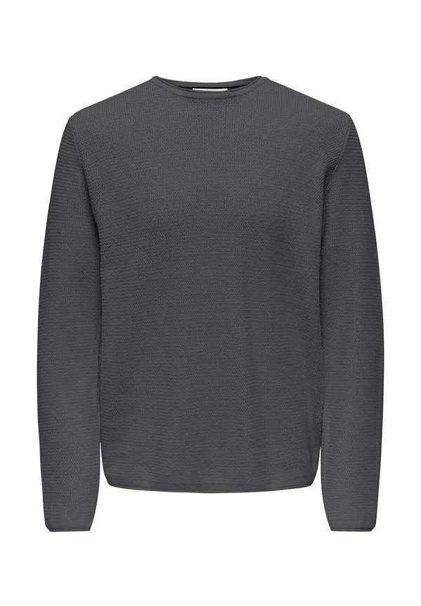 NORMAL GESCHNITTEN RUNDHALSAUSSCHNITT - Strickpullover - grau