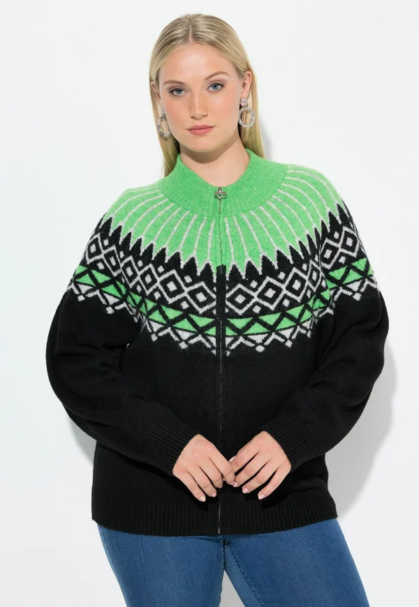 NORWEGER REISSVERSCHLUSS LANGARM - Strickjacke - black