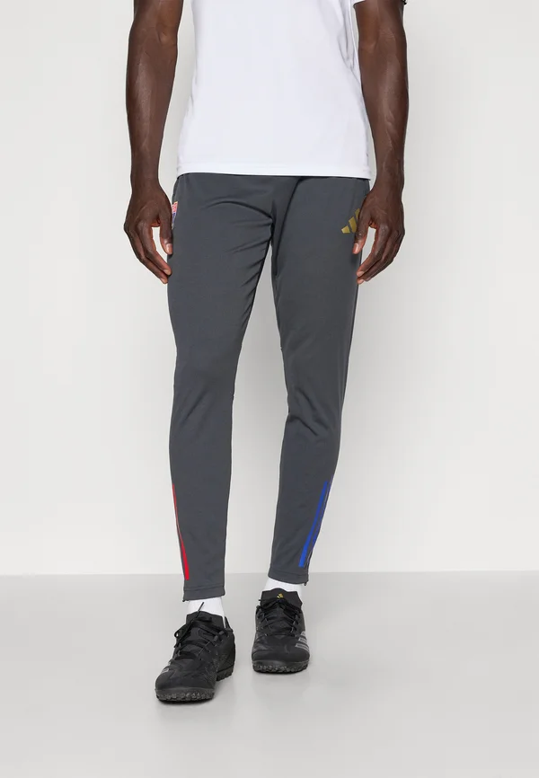 OLYMPIQUE LYONNAIS TIRO25 COMPETITION TRAINING PANTS - Vereinsmannschaften - carbon/hazy beige
